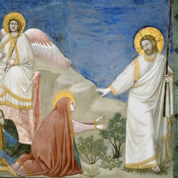 noli-me-tangere