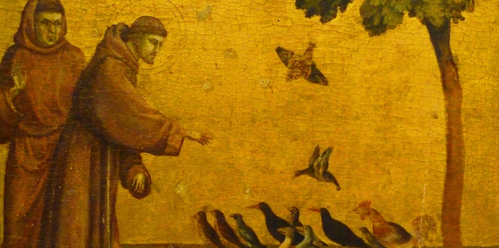 francesco-giornata-preghiera-cura-del-creato