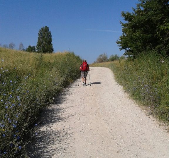 ascensione