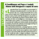 camillianum