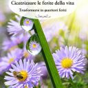 cicatrizzare