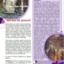 hogar