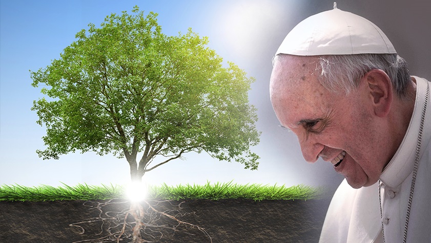 preghiera_creato_papa_francesco